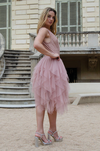 Swan Queen Dress